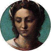 Sebastiano del Piombo Head of a Woman oil painting